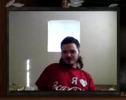 392x312