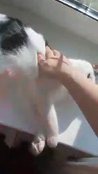 380x672