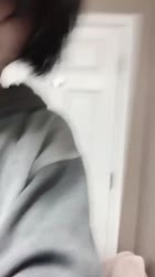 576x1024