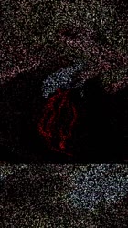 576x1024