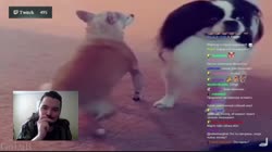 1280x720