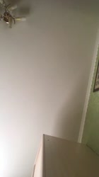 540x960