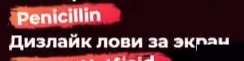 244x61