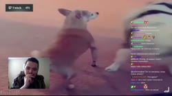 1280x720