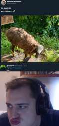 560x1177