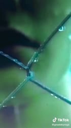 540x960