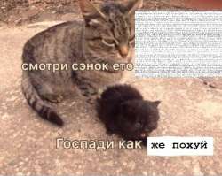 602x480