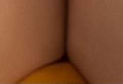 339x234
