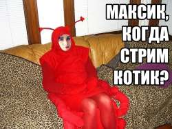 500x375