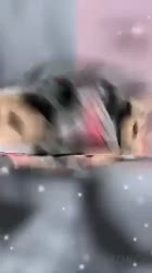 320x568