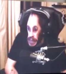 286x320
