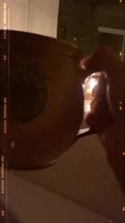 640x1136