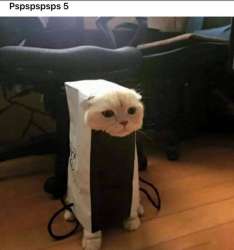938x1000