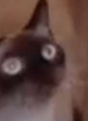 420x579