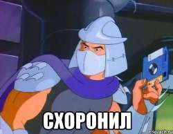500x388