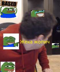 424x505