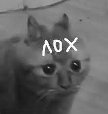 219x231