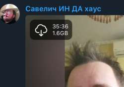 440x310