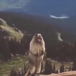 360x360