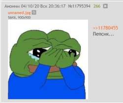 384x324