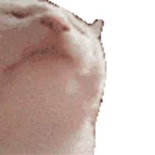 220x220