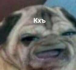 513x472