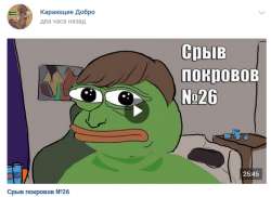 533x389