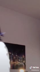 540x960