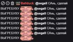384x223
