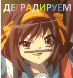 446x475