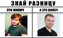 489x301