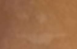 336x217