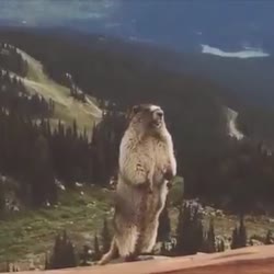 360x360