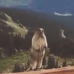 360x360