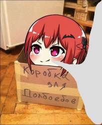 641x784