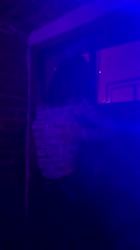 720x1280