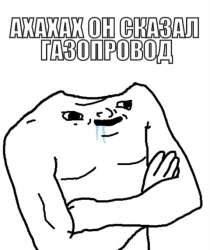 480x570