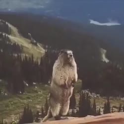 360x360