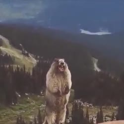 360x360