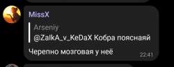 1237x476