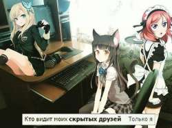 604x453