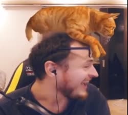 360x326