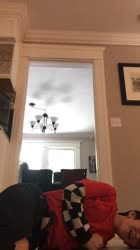 720x1280
