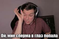 499x334