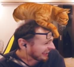 360x326