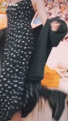 576x1024