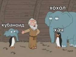 749x562