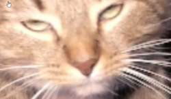 649x377