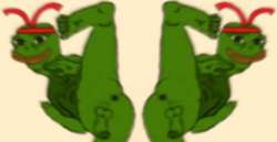 482x249