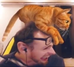 360x326